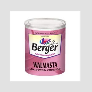 Berger Paints walmasta